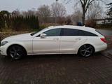 Mercedes-Benz CLS 350 Shooting Brake CLS 350 CDI 4MATIC Sh... - weiße Mercedes-Benz CLS 350 Shooting Brake