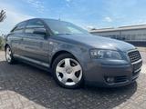 Audi A3 2.0/Klimaautomatik /Isofix/ZV/LM Felgen/Shg - Audi A3: Felgen