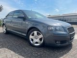 Audi A3 2.0/Klimaautomatik /Isofix/ZV/LM Felgen/Shg - Audi A3: Felge