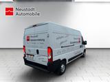 Opel Movano Cargo L3H2 3.5t Holzboden, Seitenwandverk - Tier-/Pferdetransport
