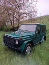 Mercedes-Benz G 250 - Mercedes-Benz G 250 von privat