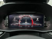 SKODA Fabia 1.0 TSI DSG Monte Carlo SHZ KAM 16