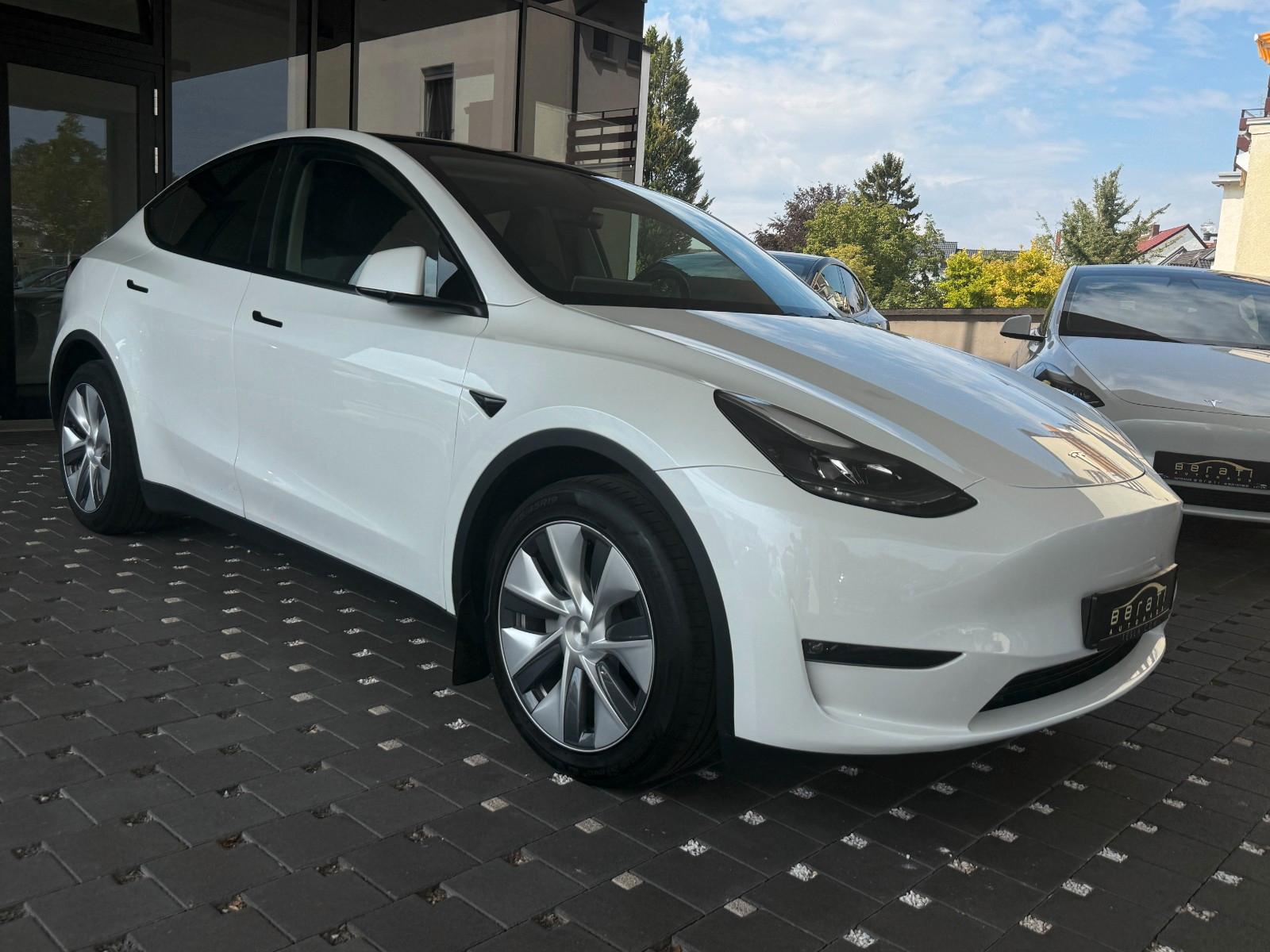 Tesla Model Y Premium LongRange DUAL-MatrixLED-AHK-583