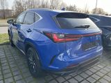 Lexus NX 350h Executive Line - Lexus aus 2024: Nx