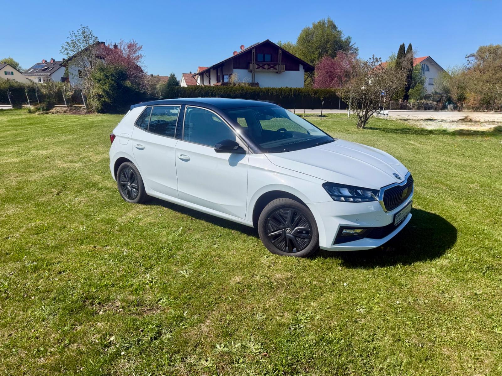Skoda Fabia Colour Concept DSG AHK · 5 Jahre Garantie