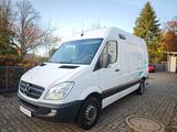 Mercedes-Benz Sprinter II Kasten 316/316 NGT/316 LGT 137121 Km - Mercedes-Benz Sprinter mit Benzin-Antrieb