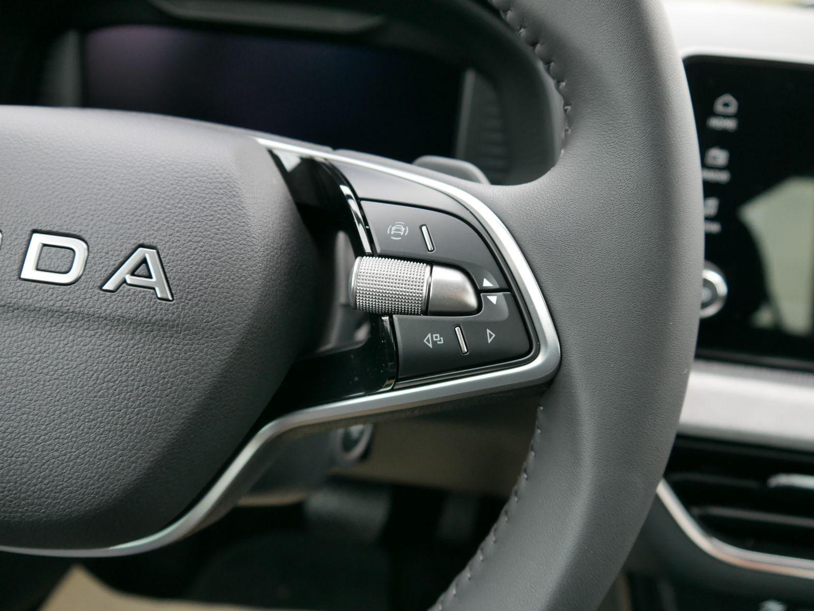 Skoda Kamiq 130 Jahre Premium Edition 1,5 TSI DSG*AHK-