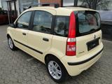 Fiat Panda 1.2 8V Emotion 4.Türer/Klimauto./TÜV NEU - Fiat Panda: 4.4