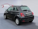 Fiat 500 Cult - Fiat 500: Cult