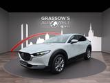 Mazda CX-30 AUTOMATIK 150PS Exclusive/RFK/ACC/HUD/MATR - Mazda Jahreswagen