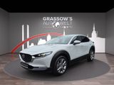 Mazda CX-30 AUTOMATIK 150PS Exclusive/RFK/ACC/HUD/MATR - Mazda CX-30 Jahreswagen