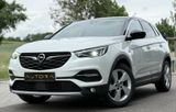 Opel Grandland (X) Innovation 1.5 CDTI|LED|SPUR|TOT-W - Opel Grandland (X) aus 2020