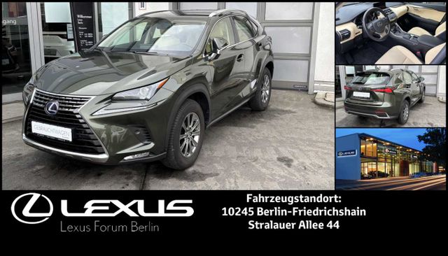 Lexus NX 300h FWD BUSINESS LINE *Allwetterreifen*