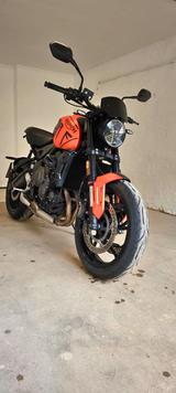 Triumph Trident 660 Reifen, Öl und Inspektion neu  - TRIUMPH TRIDENT