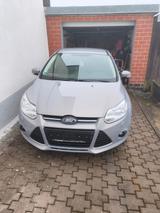 Ford Focus 1,6 Viva Weiß Viva - Ford Focus Viva mit Benzin-Antrieb