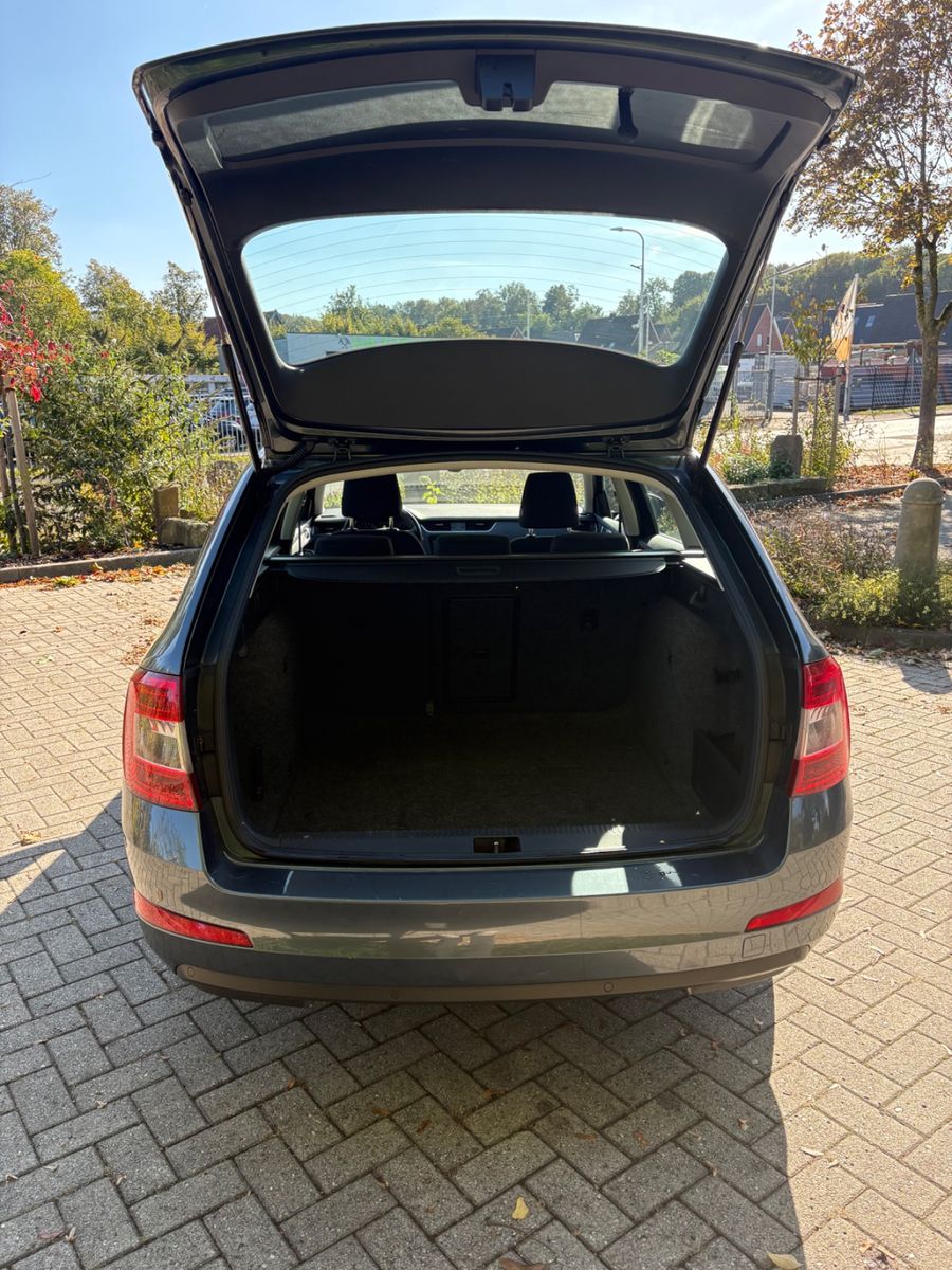 Foto 12 van SKODA Octavia