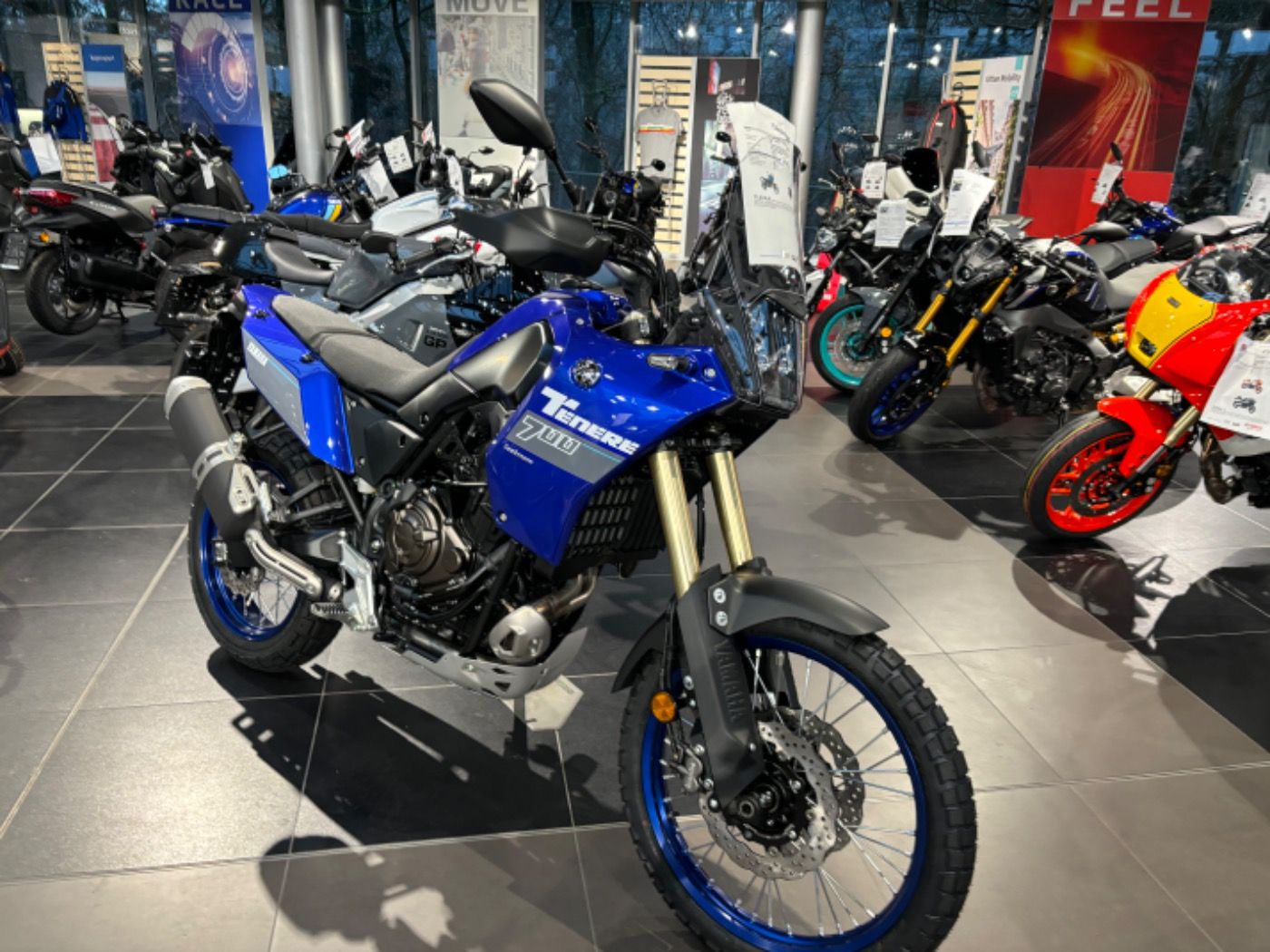 Fahrzeugabbildung Yamaha XTZ 700 Tenere Modell 2024 Tageszulassung