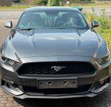 Ford Mustang 2.3 EcoBoost, Automatik, Voll - Ford Mustang: For