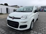 Fiat Panda Pop KLIMA*1-HAND*TÜV / ASU NEU*SERVICE NEU - Fiat Panda Gebrauchtwagen in Stuttgart