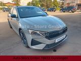 Skoda Octavia Combi 2.0 TSI RS/LHZ/SHZ/ACC/HK/NAVI/LED - Skoda Octavia Kombi mit Anhängerkupplung