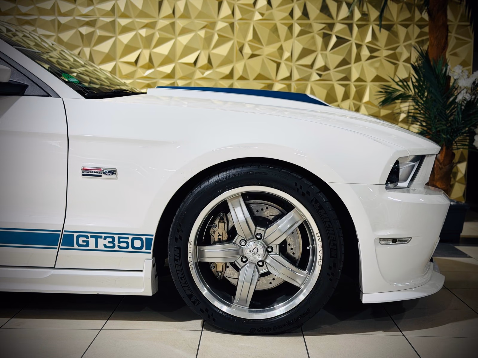 Ford Mustang Shelby American GT 350|624PS|CSM|SAMMLER
