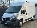 Fiat Ducato Kasten 35 130 L2H2 Kamera Ahk 1. Hand - Fiat Ducato: 2.3