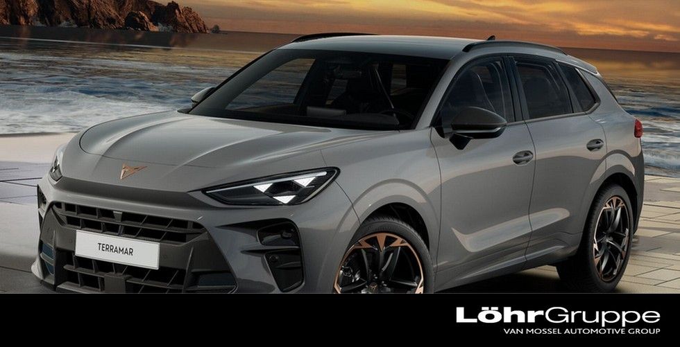 Terramar VZ 2.0 TSI 265PS DSG 4Drive Digital