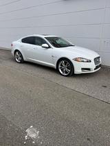 Jaguar XF Limousine 2.0 Merridian Surround 20Zoll Leder - Jaguar XF in Stuttgart