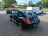 Volkswagen Beetle  Allstar,CAM,PDC,NAV,SHZ,TEMP,LED,VOLL - Volkswagen Beetle: Allstar