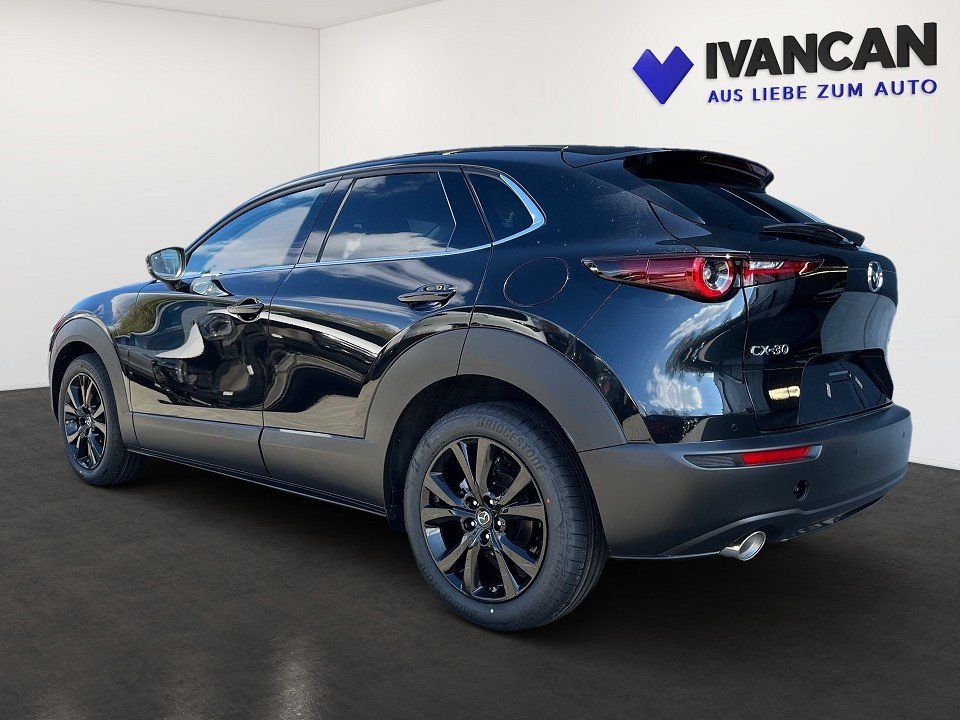 Fahrzeugabbildung Mazda CX-30 X 2.0i 186PS Homura