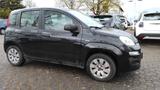 Fiat Panda  1,2 8V Klimaanlage - Fiat Panda: Schwarz