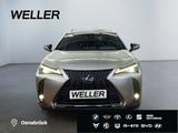 Lexus UX 250h F SPORT Design *Bi-LED*ACC*RCam*SHZ*PDC* - Lexus aus 2023
