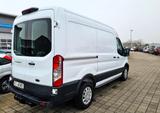 Ford Transit Kasten 350 L2H2 AUTOMATIK AHK KAMERA - Ford Koffer Transit