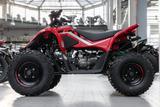 CFMOTO Cforce 110, Kinderquad, 45KM/H, sofort lieferbar - BENZIN QUAD KINDER