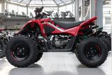 CFMOTO Cforce 110, Kinderquad, 45KM/H, sofort lieferbar - BENZIN QUAD KINDER