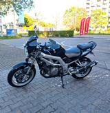Suzuki SV1000 N - SUZUKI SV1000S