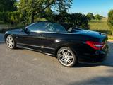 Mercedes-Benz E 350 Cabriolet  CDI Blue EFF. Sport Paket AMG - Mercedes-Benz E 350: Cabrio