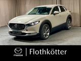 Mazda CX-30 G140 AUTO HOMURA*VOLL-LED*CARPLAY* - Mazda CX-30