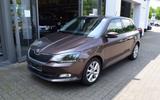 Skoda Fabia 1.0 Joy *Navi*SitzHzg*GRA*PDC