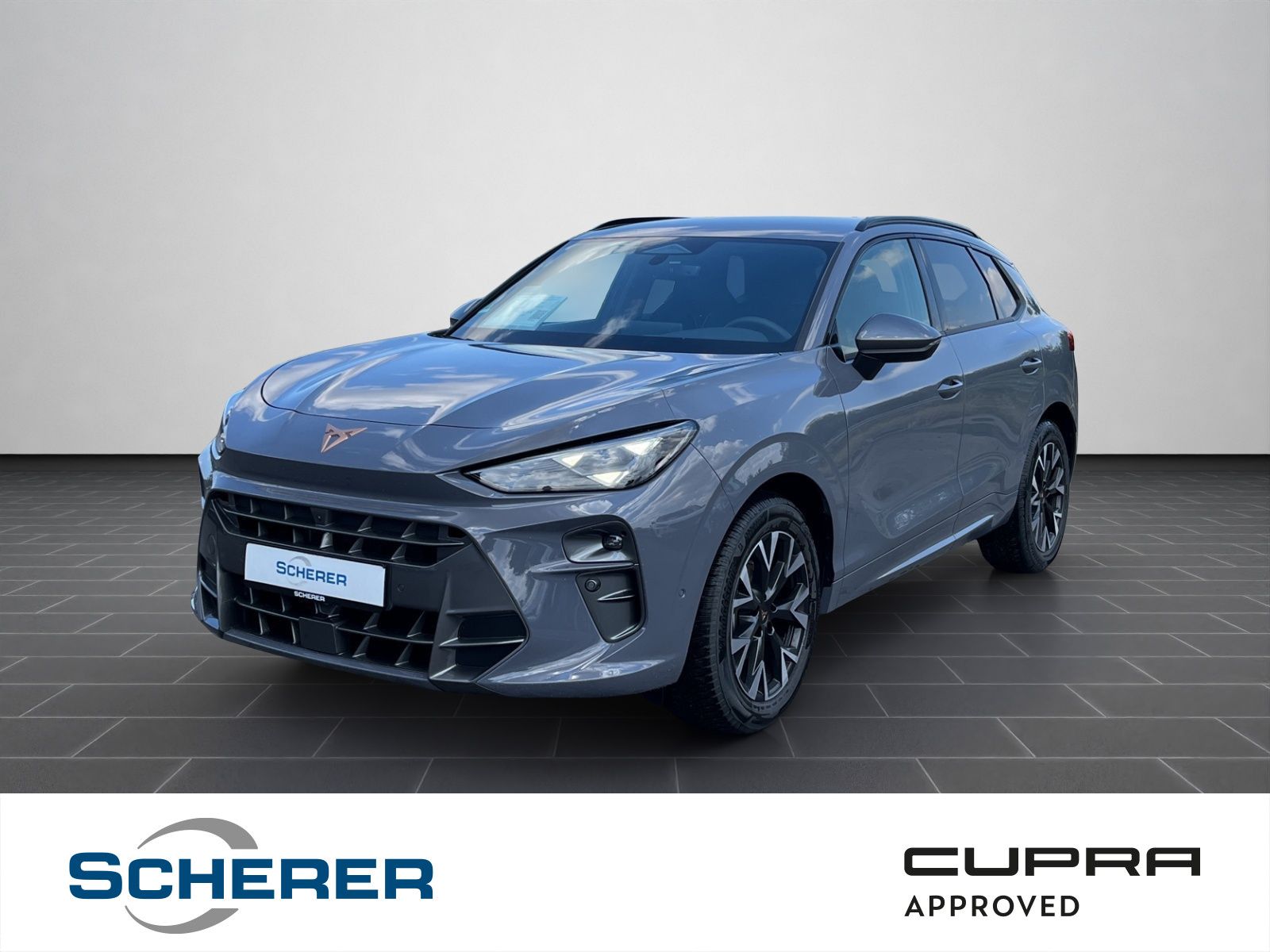 CUPRA Terramar 1.5 eTSI DSG NAVI HUD EDGE E-SITZ