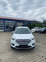 Ford Kuga 1,5 EcoBoost 2x4 110kW Business Edition - Ford Kuga: Business Edition