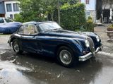 Jaguar XK159 FHC 3,8L Automatik blau Scheu... - Jaguar XK: Jag