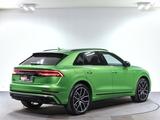 Audi Q8 50 TDI quattro Competition Plus, 22", Standh, - Audi Q8 mit Diesel-Antrieb: Grün