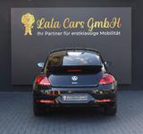 Volkswagen Beetle R-LINE/AUTOMATIK/ - Volkswagen Beetle: Limousine