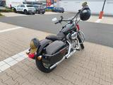 Harley-Davidson Sportster XL 883 C - HARLEY-DAVIDSON 883 C