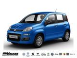 Fiat Panda Hybrid 1.0 GSE PANDINA KLIMA PDC - Fiat Panda Gebrauchtwagen
