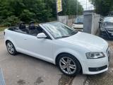 Audi A3 Cabriolet Ambition - Audi A3 aus 2010: Cabrio