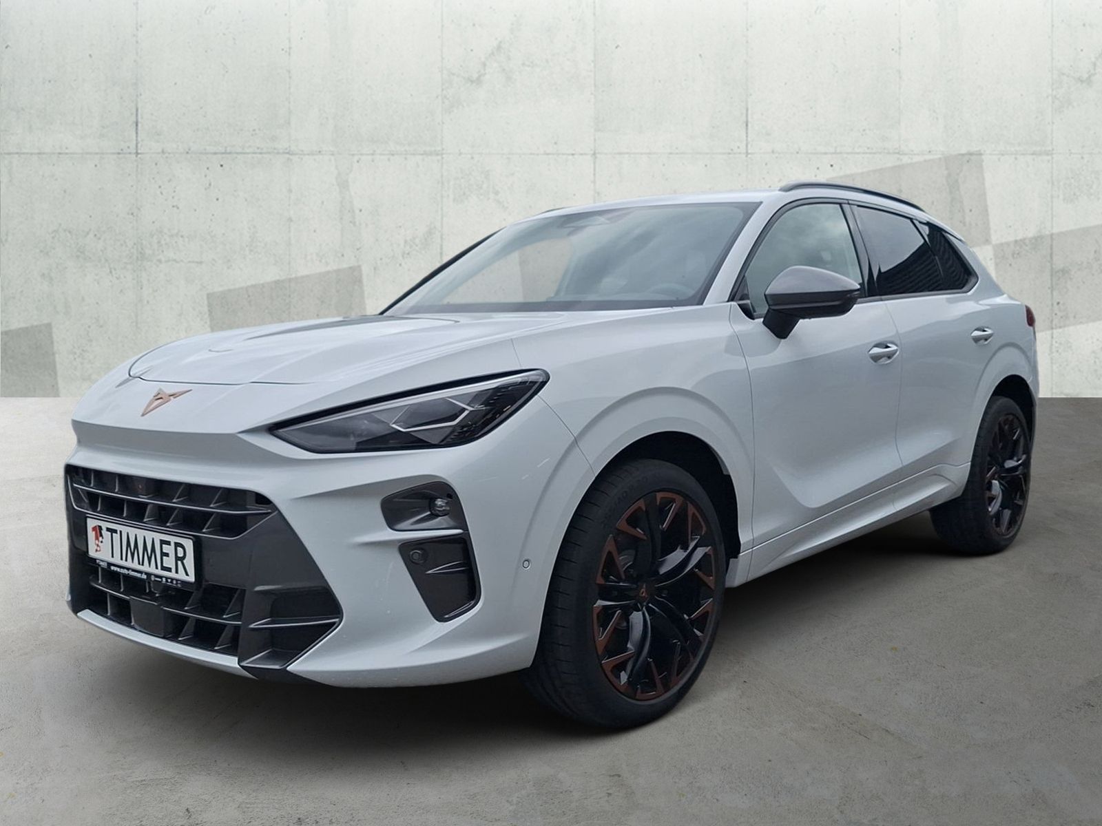 Cupra Terramar - Bild 2