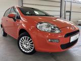 Fiat Punto My Punto 1.4 BENZIN KLIMA HU/AU NEU 5TÜREN - Fiat Punto: 1.4