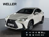 Lexus NX 350h Executive Line *HUD*Leder*360°*el Sitze* - Lexus NX-Serie in Köln